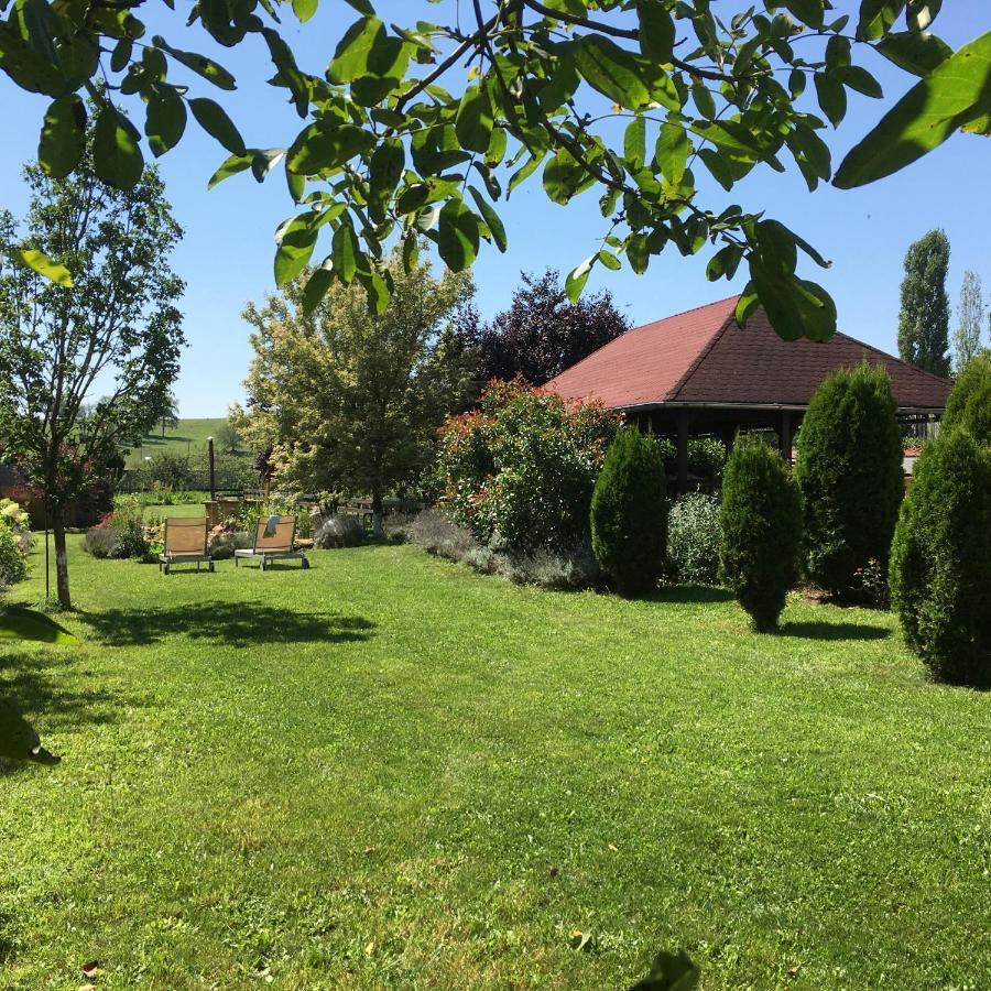 Domaine De La Mance - Maisonnette Avec Cheminee Vitrey-sur-Mance Exterior photo