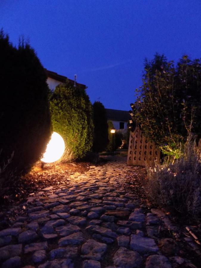 Domaine De La Mance - Maisonnette Avec Cheminee Vitrey-sur-Mance Exterior photo