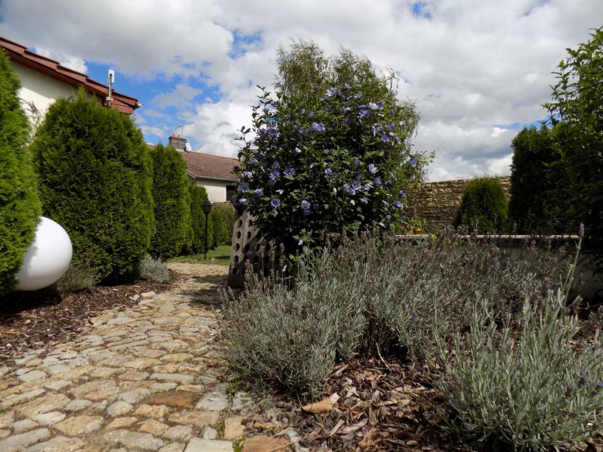 Domaine De La Mance - Maisonnette Avec Cheminee Vitrey-sur-Mance Exterior photo